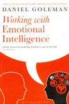 Working With Emotional Intelligence
