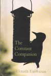The Constant Companion