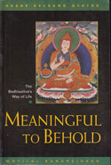 Meaningful to Behold