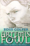 Artemis Fowl and the Arctic Incident