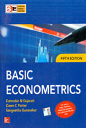 Basic Econometrics