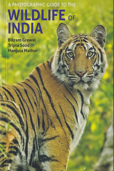 A Photographic Guide to the Wildlife of India