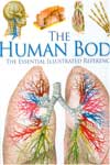 The Human Body The Essential illustrated reference