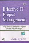 Effective IT Project Management