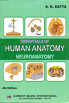 Essentials Of Human Anatomy Neuroanatomy