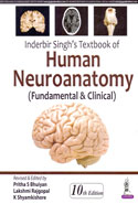 Textbook of Human Neuroanatomy Fundamental and Clinical