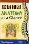 Anatomy at a Glance
