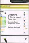 Unlocking E-Government Potential