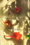 Another Gulmohar Tree