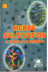 Herbs Cultivation and Their Utilization