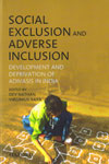 Social Exclusion and Adverse Inclusion