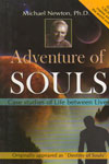 Adventure of Souls Case Studies of Life between Lives