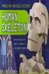 Press Out and Build Science Human Skeleton