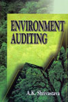 Environment Auditing