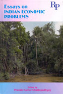 Essays on Indian Economic Problems