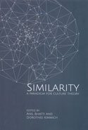 Similarity A Paradigm For Culture Theory