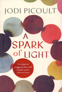 A Spark of Light