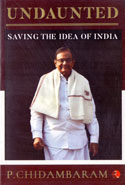 Undaunted Saving the Idea of India