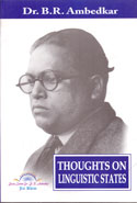Thoughts on Linguistic States