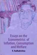 Essays on the Econometrics of Inflation, Consumption and Welfare