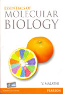 Essentials of Molecular Biology 