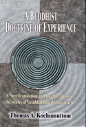 A Buddhist Doctrine of Experience