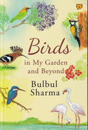 Birds in My Garden and Beyond