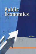 Public Economics