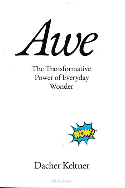 Awe The Transformative Power of Everyday Wonder