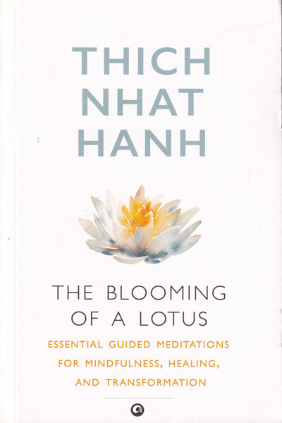 The Blooming of A Lotus