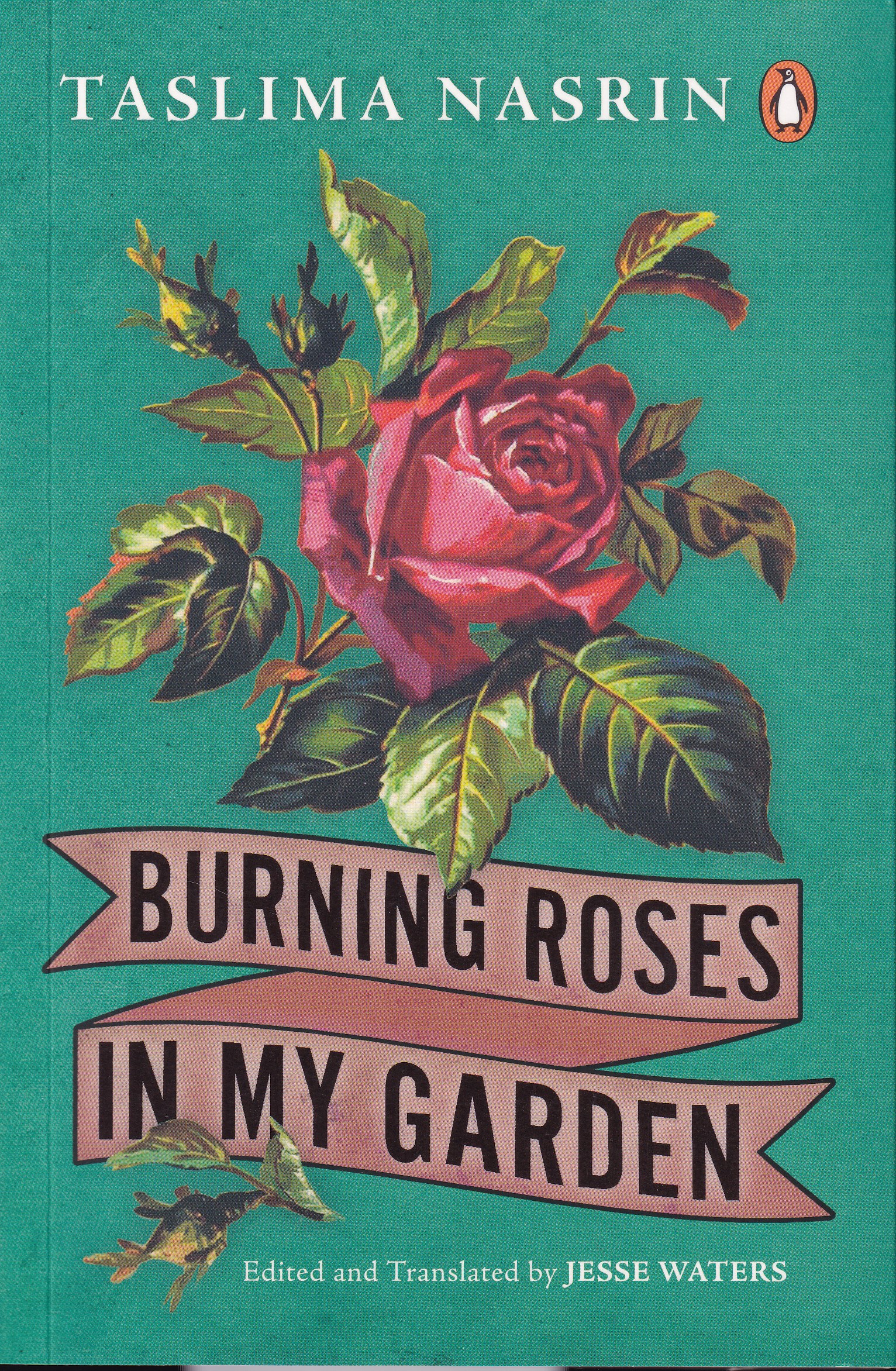 Burning Roses in My Garden