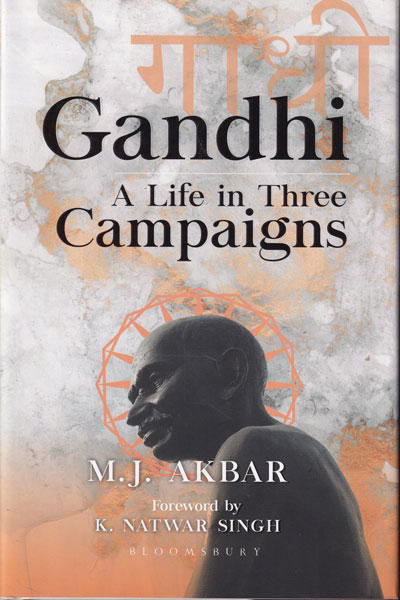 Gandhi A Life in Three Campaigns