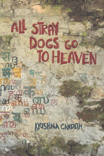 All Stray Dogs Go to Heaven