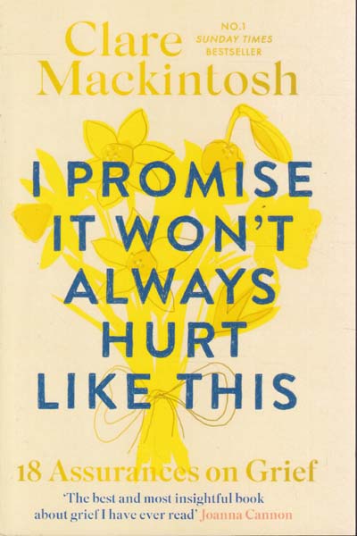 I Promise it Wont Always Hurt Like 18 Assurances on Grief