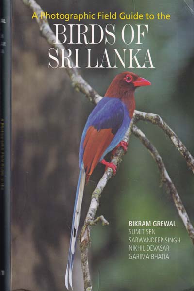 A Photographic Guide To The Birds Of Sri Lanka