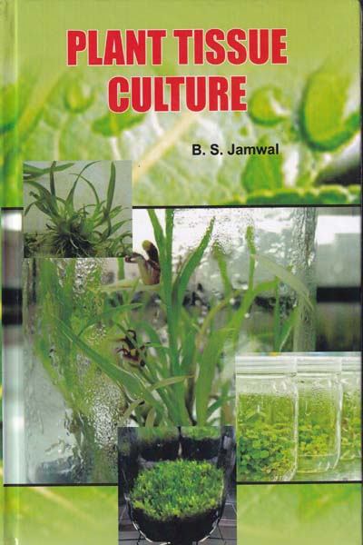 Plant Tissue Culture