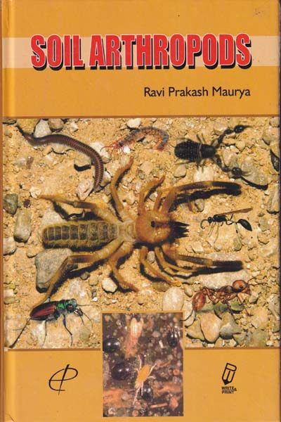 Soil Arthropods