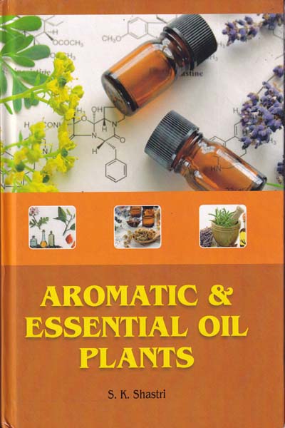 Aromatic And Essential Oil Plants