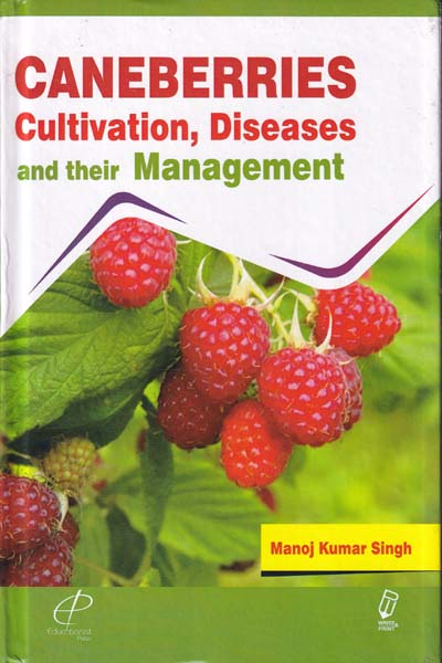 Caneberries Cultivation Diseases and Their Management
