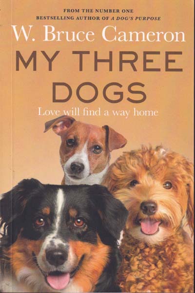 My Three Dogs Love will Find a Way Home