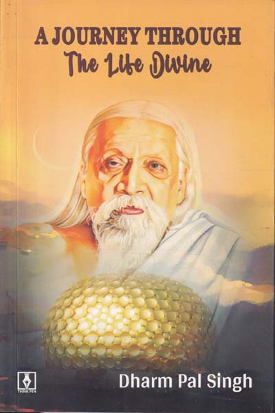 A Journey Through The Life Divine