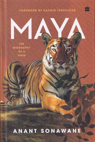 Maya The Biography of A Tiger